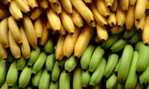 BananaSuperfoods110113